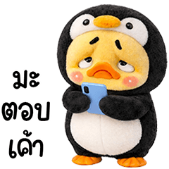 เจ้าเป็ดหน้าบูดกวิ้นๆดำ