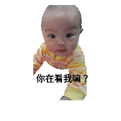 雞寶～Q小妹