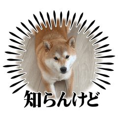 Ayano_20260104203605