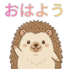 All-Round Cute Hedgehog
