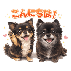 chiwa_20260103002931