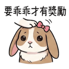 sinru chen_20260103153732