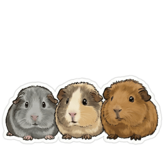 三隻小豬與七隻狗