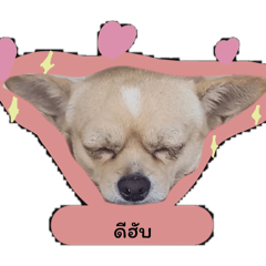 I love dog_20260104145251