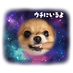 Nicosuki_20260104193707