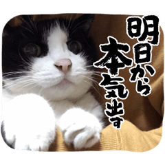 mikke_20260104223304