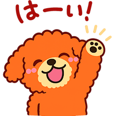 Toy Poodle Light Stickers
