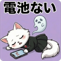 Quick Reply Persian Cat Sticker