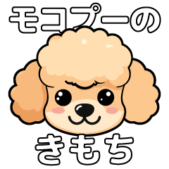 Moco Poodle Feelings