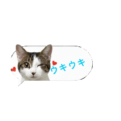 yukkin_20260103122527
