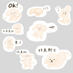 ABPP A blurry poodle puppy