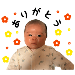 Sachi_20260104173740