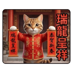 Meow's Daily: Year of the Dragon Edition