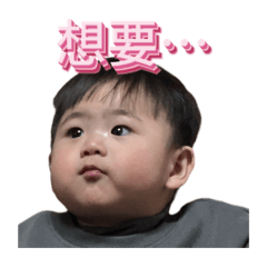 洋洋灑灑（洋洋特輯）