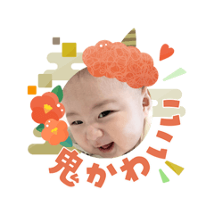 kameria_20260104182537