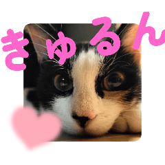 mugi.tokidoki