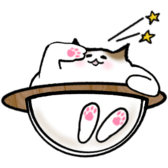 Animated! Fluffy Ragdoll cats