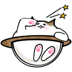 Animated! Fluffy Ragdoll cats