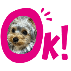 akane_20260104191659