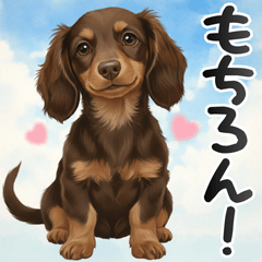 ダックスが送る✉️メッセージ