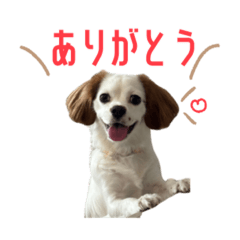 Kainushi_20260104192258