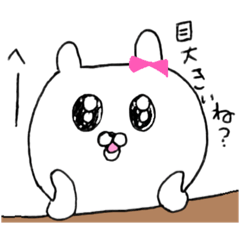 Cheeky&nbsp; &nbsp;Rabbit