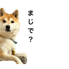 yuka_20260104220641