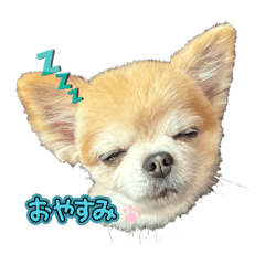 ruikira_20260104220520