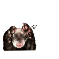 k_20260104202227