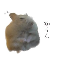 K_20260105074027
