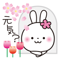 Spring!! cute White Rabbit [Japanese]