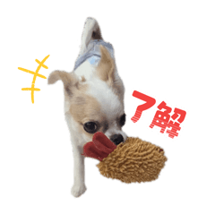 Sakkun_20260104210127