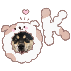 Yumi小狗來囉～