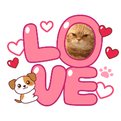 nalin_20260104202759