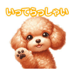 Totally Adorable Toy Poodle