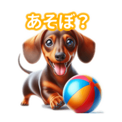 Super Cute Miniature Dachshund!