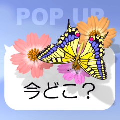スマホの上の花と蝶６（ポップアップ）