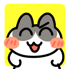 Useful Everyday! Daily Conversation Cat