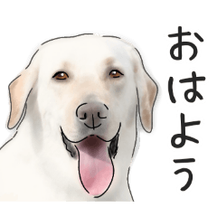 patezou_20260104173417