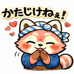 Edokko Raccoon