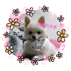 juju_20260104230841