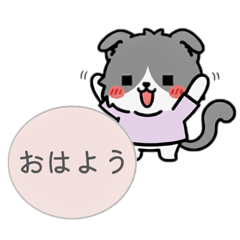 Nicosuki_20260104230815