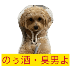 momo_20260105124535