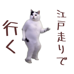 動く！江戸走り猫ミーム