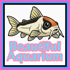 Beautiful Tropical Fish_Taiwanese