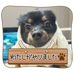 ウルちゃんの日常1
