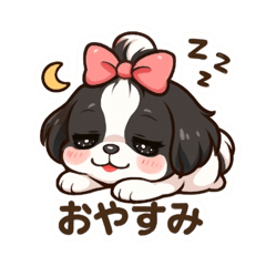 Shih Tzu with a top knot