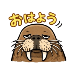 koko_20260105013432