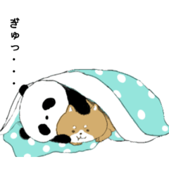 PandA_20260103100820