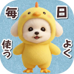 Everyday Costume / Toy Poodle